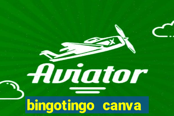 bingotingo canva pro gratis